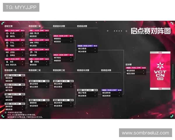 1. 了解AG官方网会员登录流程及账户管理方法详解