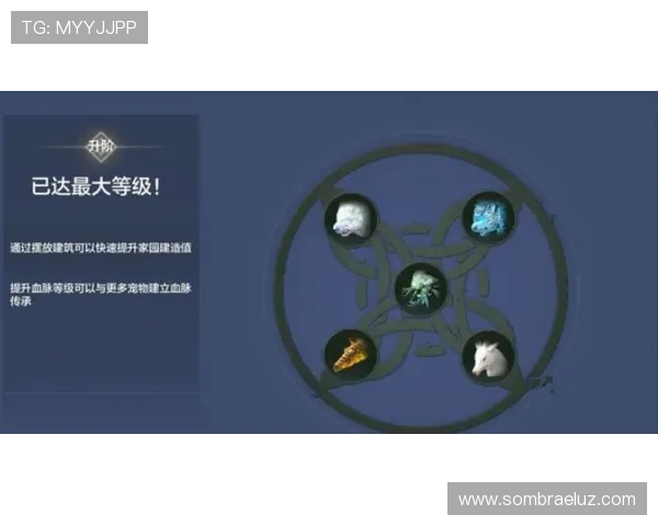 MG电子游艺游戏攻略大全让你快速掌握玩法技巧提升中奖率